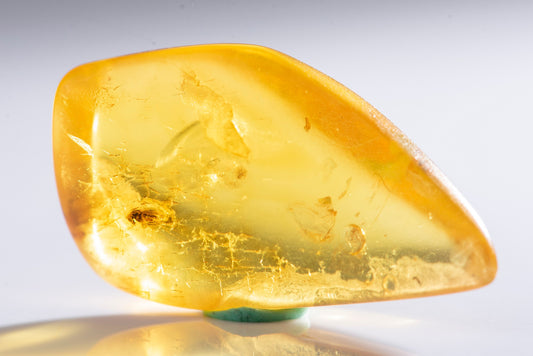 Polished Baltic amber with fly insect inclusion 10.8ct