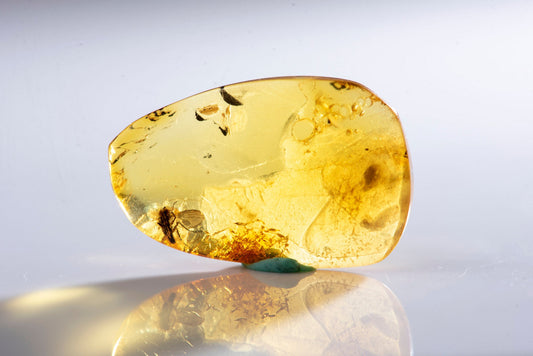 Polished Baltic amber with fly insect inclusion 5.5ct