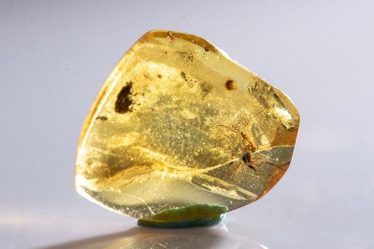 Polished Baltic amber with mosquito insect inclusion 3.2ct