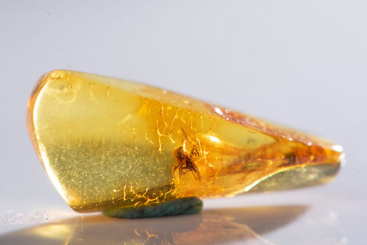 Polished Baltic amber with spider inclusion 3.4ct