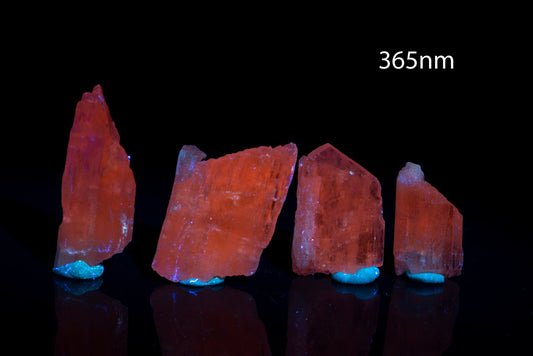 4 pieces kunzite spodumene 16.8g fluorescent