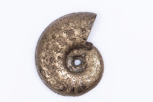 Pyritized ammonite 1.26g 16.2mm sliced half