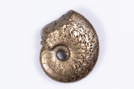 Pyritized ammonite 1.87g 16.4mm