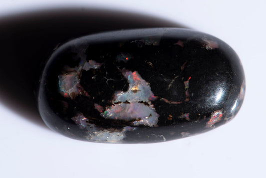 Black opalized wood 10.68ct oval cabochon