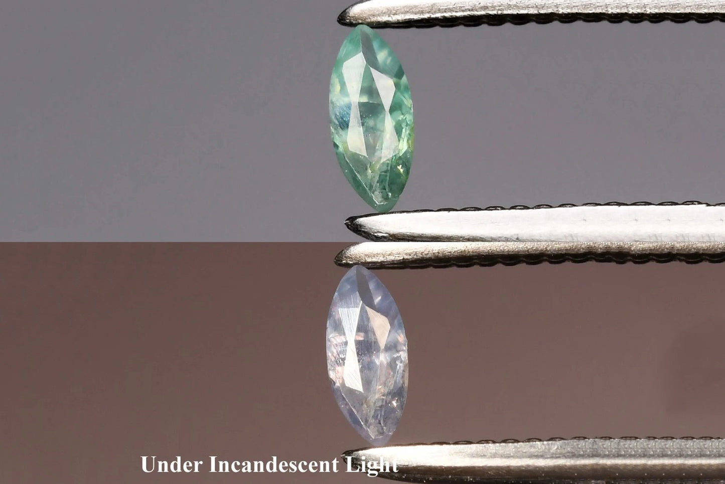 Natural Green Alexandrite 0.06ct Marquise Cut 3.7x1.7mm