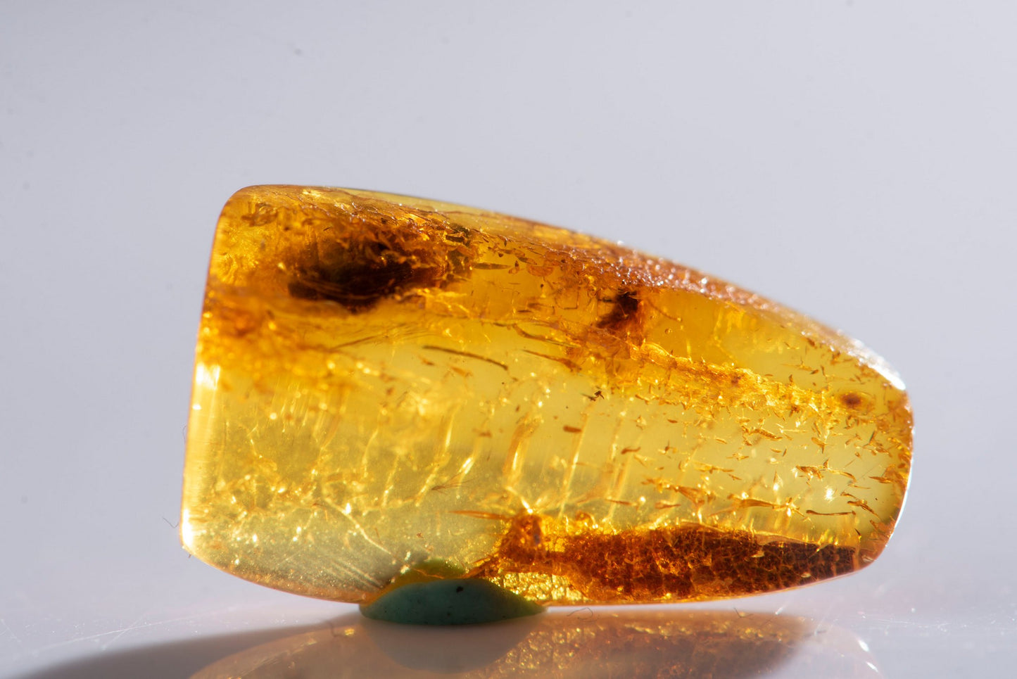 Polished Baltic amber with 2 insects inclusions 2.6ct