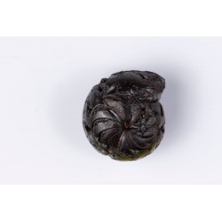 Hematite replaced ammonite (goniatite) from Morocco 3.5g 15mm
