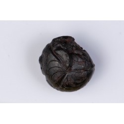 Hematite replaced ammonite (goniatite) from Morocco 3.9g 16mm