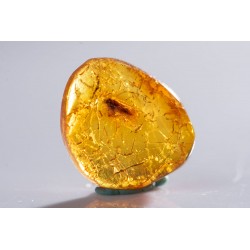 Polished Baltic amber with an insect inclusion 1.7ct
