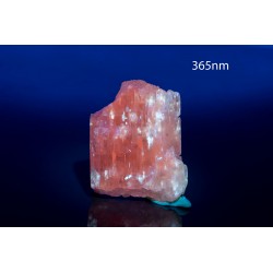 Pink kunzite spodumene 39.9g fluorescent