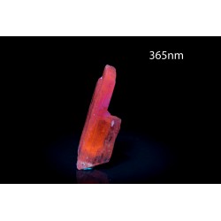 Yellow spodumene 10.1g fluorescent