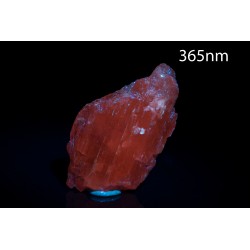 Pink kunzite 22.7g fluorescent