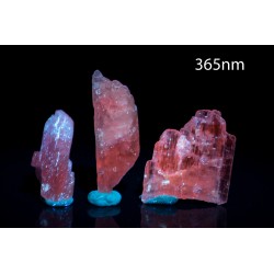 3 pieces pink kunzite spodumene 12.5g fluorescent