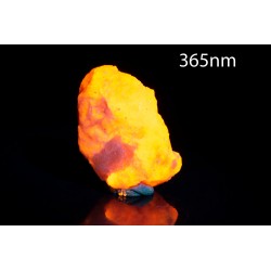 Hackmanite (tenebrescent sodalite) 14.4g fluorescent