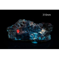 Rough Sodalite with lazurite fluorescent 32.6g