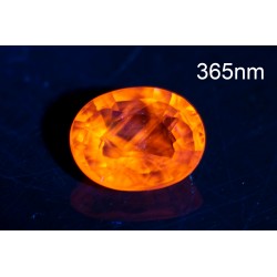 Light yellow sapphire 0.60ct VS oval cut orange fluorescence