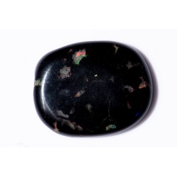 Black opalized wood 13.73ct oval cabochon