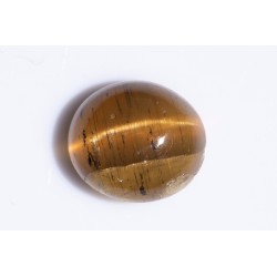 Yellow cat's eye apatite 3.46ct oval cabochon