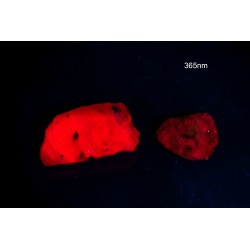 2pcs rough ruby crystals with strong fluorescence 22.1ct