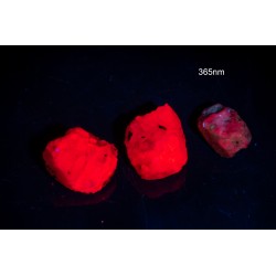 3 броя рубин със силна флуоресценция 21.3ct нешлифовани кристали