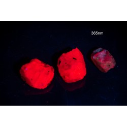 3pcs rough ruby crystals with strong fluorescence 21.3ct