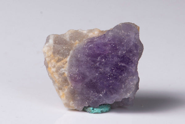 Natural hackmanite, a tenebrescent mineral, with a violet zone in a cream matrix