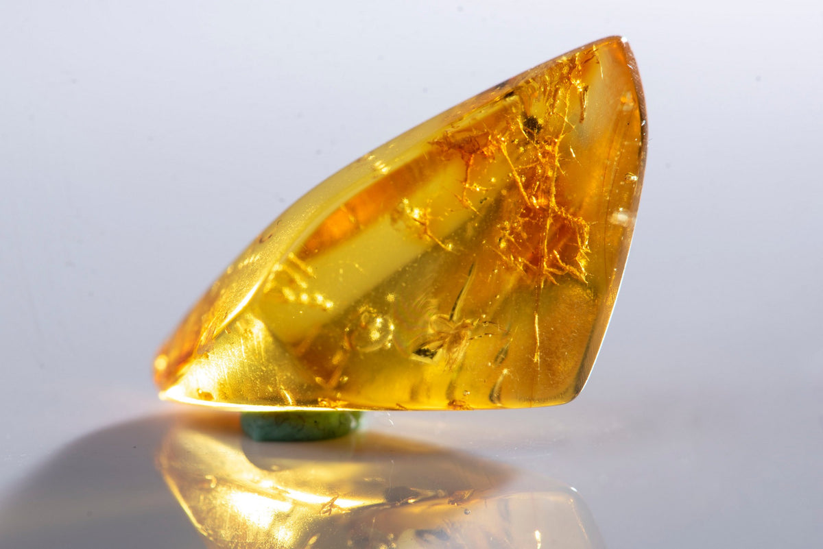 Natural Polished Baltic Amber with 2 Insects Inclusions 8.2ct