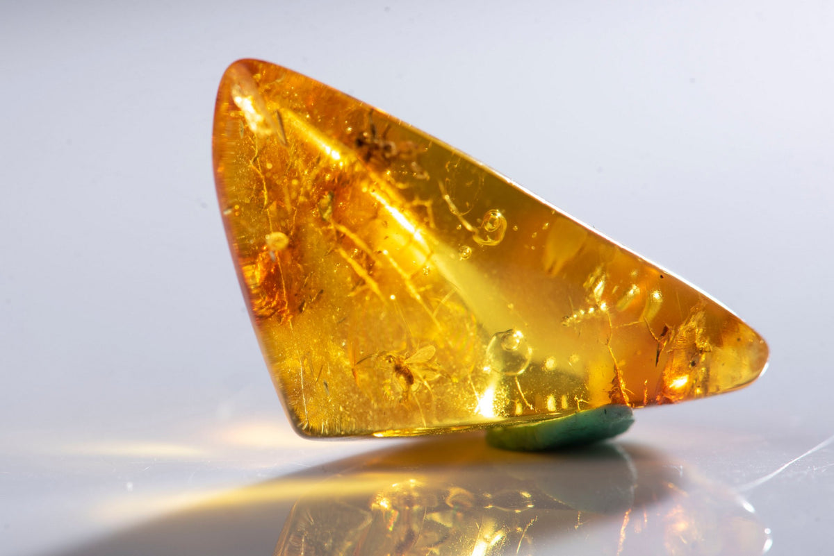 Natural Polished Baltic Amber with 2 Insects Inclusions 8.2ct