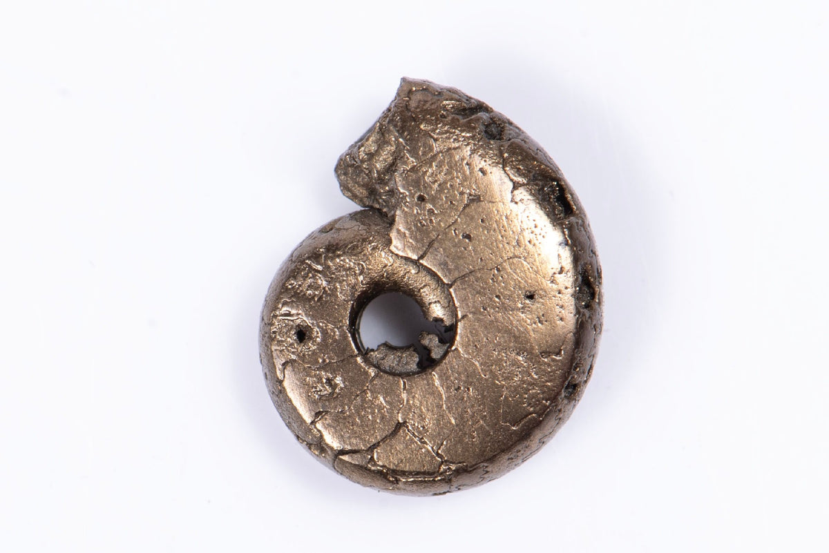 Natural Pyritized Ammonite 1.16g 11.3mm