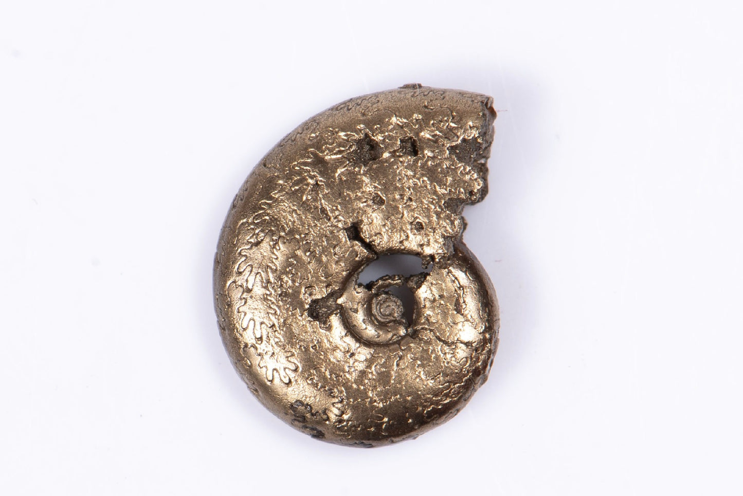 Pyritized ammonite 0.79g 11.7mm