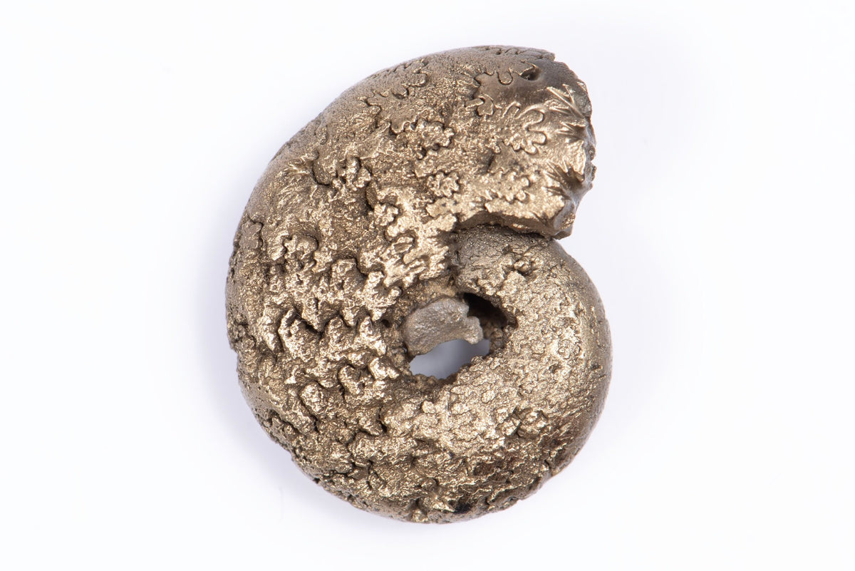 Natural Pyritized Ammonite 3.4g 17.9mm