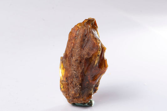 Baltic amber rough 15.6g