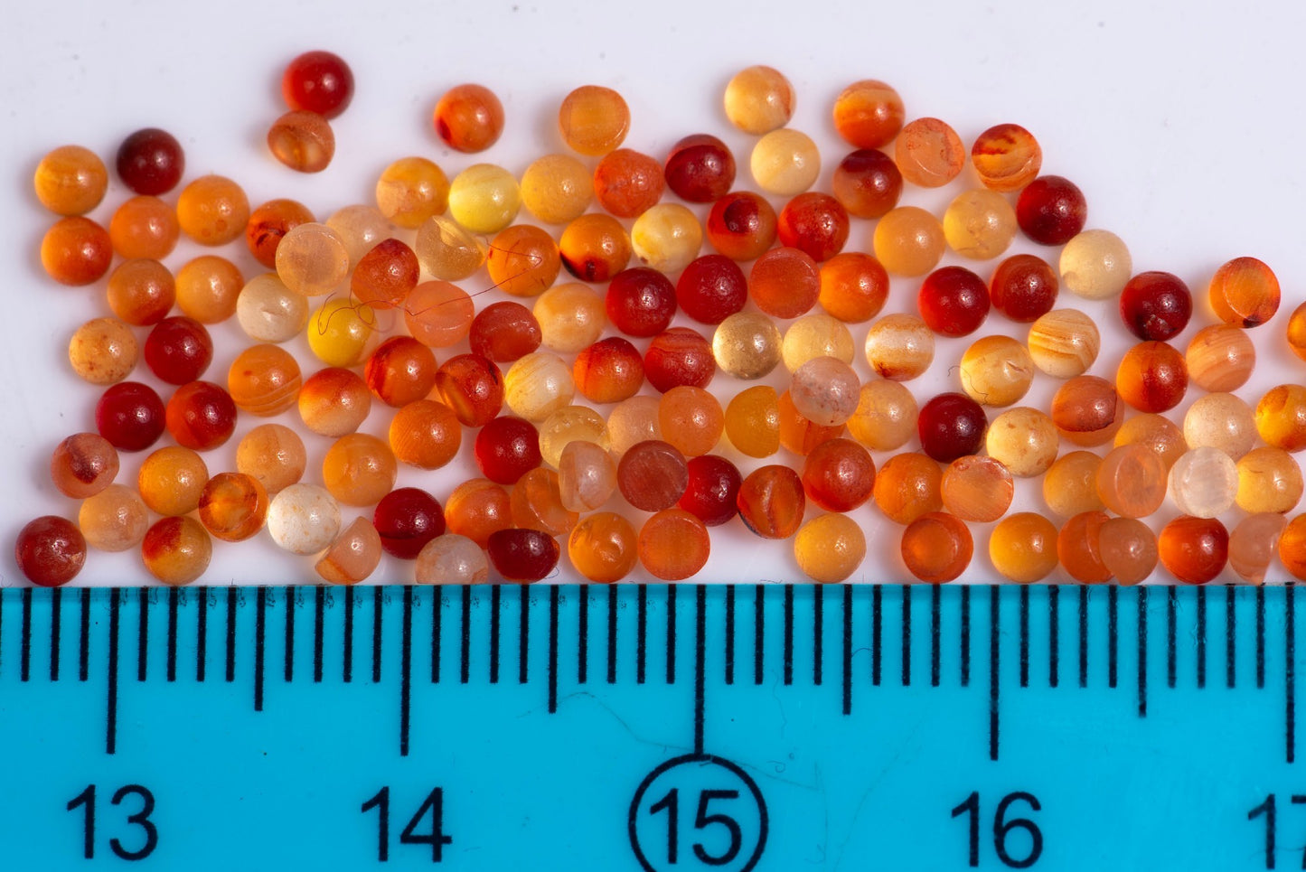 Carnelian 2.4mm round cabochons - price for 50pcs