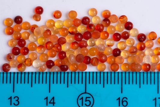 Carnelian 2.4mm round cabochons - price for 50pcs