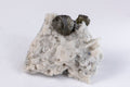 Natural cleiophane green sphalerite with quartz cluster crystal 51g Bulgaria mineral specimen collector