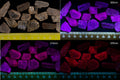 Natural fluorescent scapolite crystal UV reactive mineral specimen