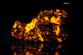 Natural fluorescent sodalite dragon head carving 92g UV reactive