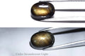 Natural black 12-ray star sapphire 1.88ct unheated oval cabochon loose gemstone for jewelry