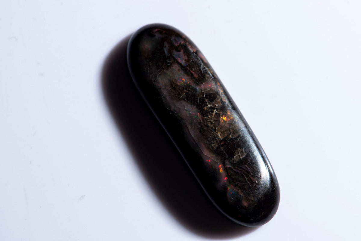 Natural Black Opalized Wood 13.34ct Oval Cabochon