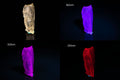 Natural fluorescent scapolite crystal 12.8ct UV reactive mineral specimen