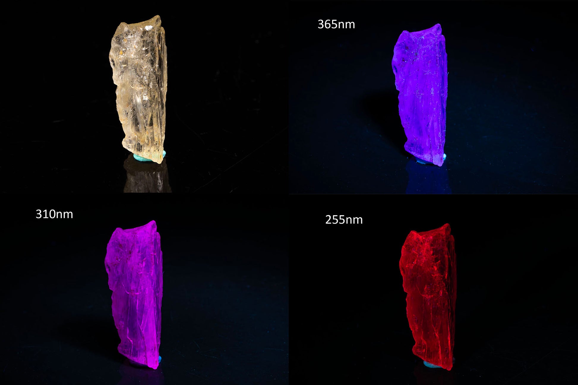 Natural fluorescent scapolite crystal 12.8ct UV reactive mineral specimen