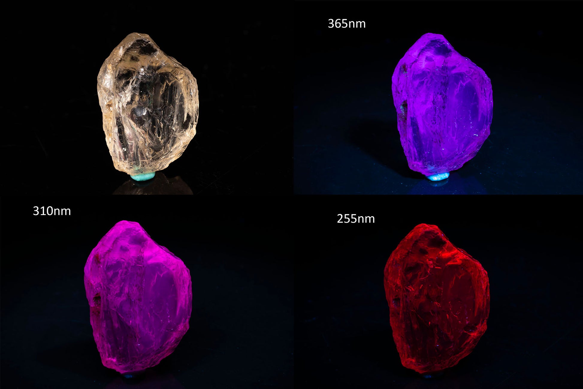 Natural fluorescent scapolite crystal 20.7ct UV reactive mineral specimen