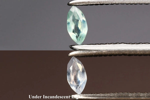 Natural Green Alexandrite 0.06ct Marquise Cut 3.7x1.8mm