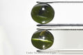 Natural green cat's eye augite 1.42ct 7x6mm oval cabochon loose gemstone