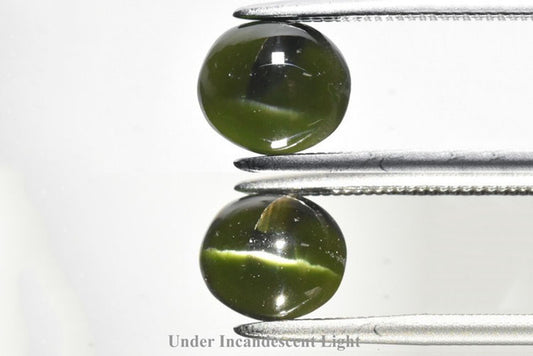 Natural green cat's eye augite 1.42ct 7x6mm oval cabochon loose gemstone