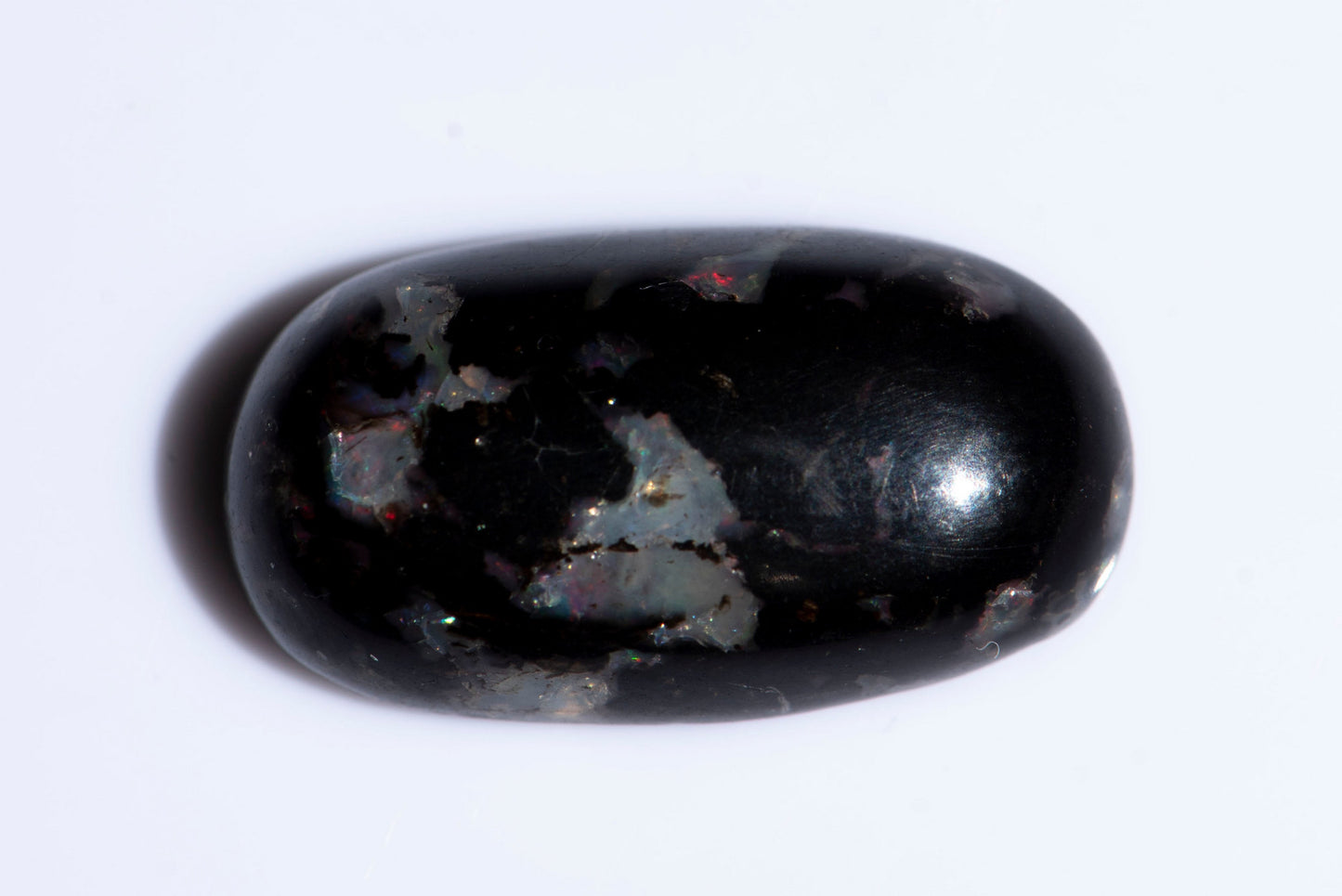 Black opalized wood 10.68ct oval cabochon