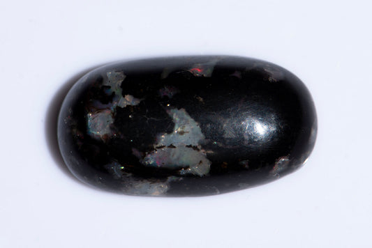 Black opalized wood 10.68ct oval cabochon