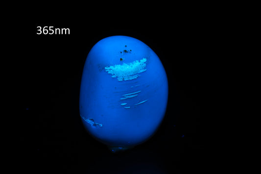 Blue Amber from Indonesia 36.6ct polished