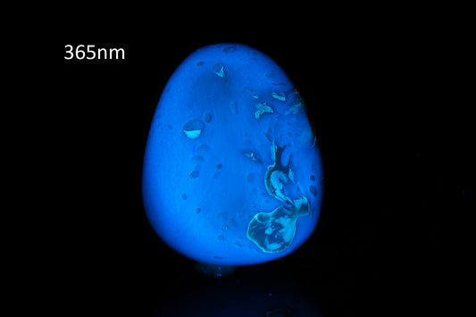 Blue Amber from Indonesia 56.5ct polished