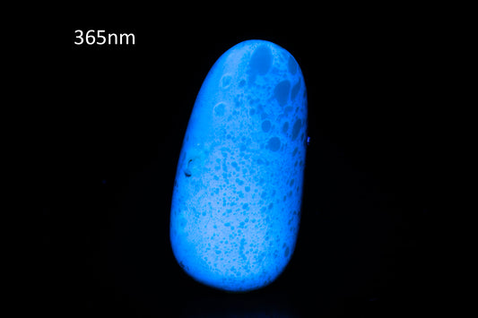 Blue Amber from Indonesia 34.7ct polished